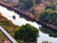 In Weinan, China, on October 13, 2024, the photo shows the Qiachuan wetland in the Yellow River in Weinan city, Shaanxi province, China. (