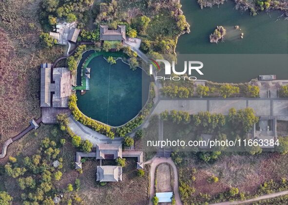 In Weinan, China, on October 13, 2024, the photo shows the Qiachuan wetland in the Yellow River in Weinan city, Shaanxi province, China. 