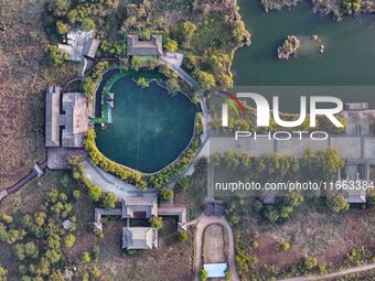 In Weinan, China, on October 13, 2024, the photo shows the Qiachuan wetland in the Yellow River in Weinan city, Shaanxi province, China. (