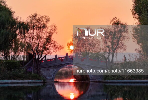 In Weinan, China, on October 13, 2024, the photo shows the Qiachuan wetland in the Yellow River in Weinan city, Shaanxi province, China. 