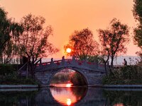 In Weinan, China, on October 13, 2024, the photo shows the Qiachuan wetland in the Yellow River in Weinan city, Shaanxi province, China. (