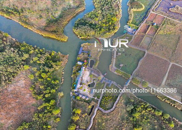 In Weinan, China, on October 13, 2024, the photo shows the Qiachuan wetland in the Yellow River in Weinan city, Shaanxi province, China. 