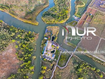 In Weinan, China, on October 13, 2024, the photo shows the Qiachuan wetland in the Yellow River in Weinan city, Shaanxi province, China. (