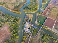 In Weinan, China, on October 13, 2024, the photo shows the Qiachuan wetland in the Yellow River in Weinan city, Shaanxi province, China. (