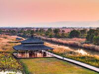 In Weinan, China, on October 13, 2024, the photo shows the Qiachuan wetland in the Yellow River in Weinan city, Shaanxi province, China. (