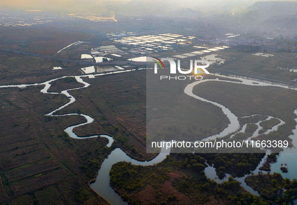 In Weinan, China, on October 13, 2024, the photo shows the Qiachuan wetland in the Yellow River in Weinan city, Shaanxi province, China. 