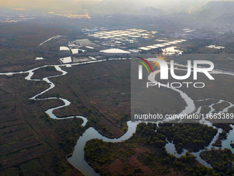 In Weinan, China, on October 13, 2024, the photo shows the Qiachuan wetland in the Yellow River in Weinan city, Shaanxi province, China. (