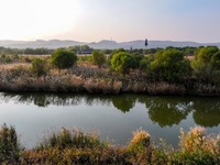 In Weinan, China, on October 13, 2024, the photo shows the Qiachuan wetland in the Yellow River in Weinan city, Shaanxi province, China. (