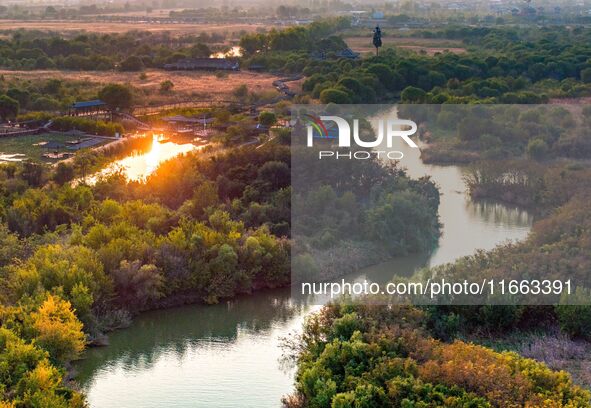 In Weinan, China, on October 13, 2024, the photo shows the Qiachuan wetland in the Yellow River in Weinan city, Shaanxi province, China. 