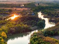 In Weinan, China, on October 13, 2024, the photo shows the Qiachuan wetland in the Yellow River in Weinan city, Shaanxi province, China. (