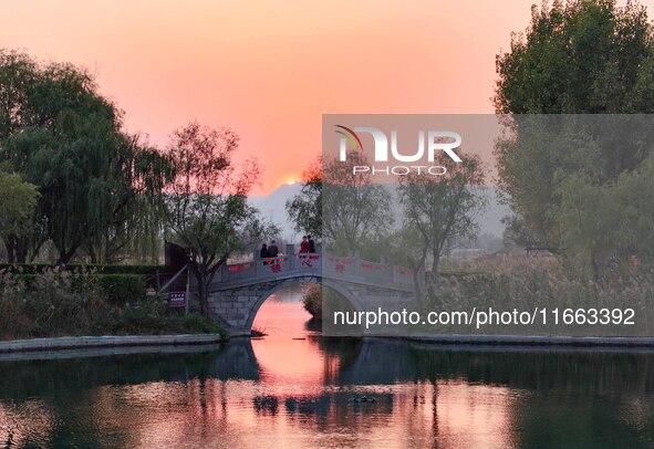 In Weinan, China, on October 13, 2024, the photo shows the Qiachuan wetland in the Yellow River in Weinan city, Shaanxi province, China. 