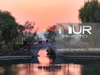 In Weinan, China, on October 13, 2024, the photo shows the Qiachuan wetland in the Yellow River in Weinan city, Shaanxi province, China. (