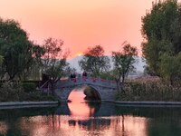 In Weinan, China, on October 13, 2024, the photo shows the Qiachuan wetland in the Yellow River in Weinan city, Shaanxi province, China. (