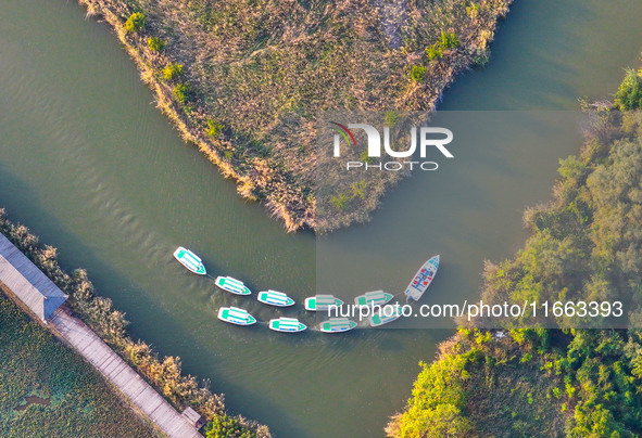 In Weinan, China, on October 13, 2024, the photo shows the Qiachuan wetland in the Yellow River in Weinan city, Shaanxi province, China. 