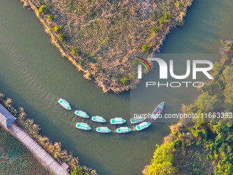 In Weinan, China, on October 13, 2024, the photo shows the Qiachuan wetland in the Yellow River in Weinan city, Shaanxi province, China. (