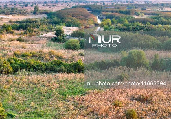 In Weinan, China, on October 13, 2024, the photo shows the Qiachuan wetland in the Yellow River in Weinan city, Shaanxi province, China. 