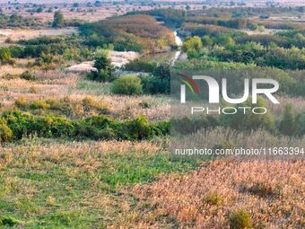 In Weinan, China, on October 13, 2024, the photo shows the Qiachuan wetland in the Yellow River in Weinan city, Shaanxi province, China. (