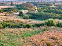 In Weinan, China, on October 13, 2024, the photo shows the Qiachuan wetland in the Yellow River in Weinan city, Shaanxi province, China. (