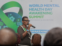 Morenikeji Olaniyi-Agboola, Assistant Director of Nursing at the Federal Neuro-Psychiatric Hospital, Yaba, and a panelist, speaks during the...