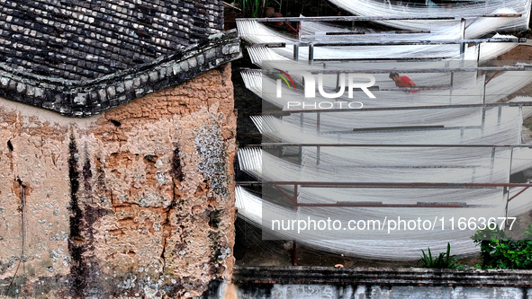 Villagers dry their noodles on wooden tanning racks in front and back of their farmhouses in Fuzhou, China, on October 13, 2024. 