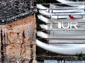 Villagers dry their noodles on wooden tanning racks in front and back of their farmhouses in Fuzhou, China, on October 13, 2024. (