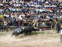 People watch a bullfight at a bullfighting pond in Congjiang County, Guizhou Province, China, on October 13, 2024. (