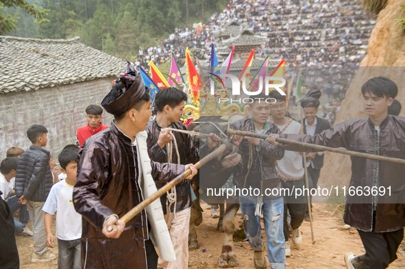 People watch a bullfight at a bullfighting pond in Congjiang County, Guizhou Province, China, on October 13, 2024. 