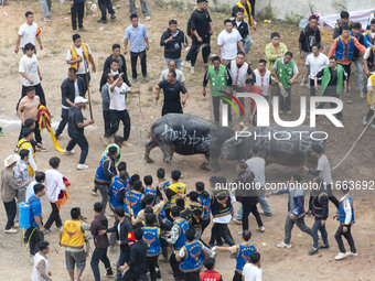 People watch a bullfight at a bullfighting pond in Congjiang County, Guizhou Province, China, on October 13, 2024. (