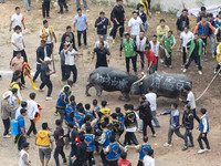 People watch a bullfight at a bullfighting pond in Congjiang County, Guizhou Province, China, on October 13, 2024. (