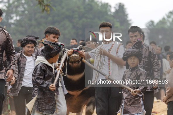 People watch a bullfight at a bullfighting pond in Congjiang County, Guizhou Province, China, on October 13, 2024. 