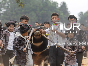 People watch a bullfight at a bullfighting pond in Congjiang County, Guizhou Province, China, on October 13, 2024. (