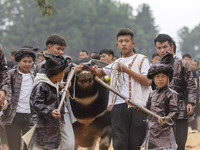 People watch a bullfight at a bullfighting pond in Congjiang County, Guizhou Province, China, on October 13, 2024. (