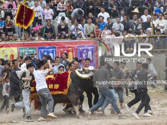 People watch a bullfight at a bullfighting pond in Congjiang County, Guizhou Province, China, on October 13, 2024. (