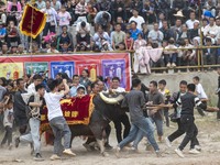 People watch a bullfight at a bullfighting pond in Congjiang County, Guizhou Province, China, on October 13, 2024. (