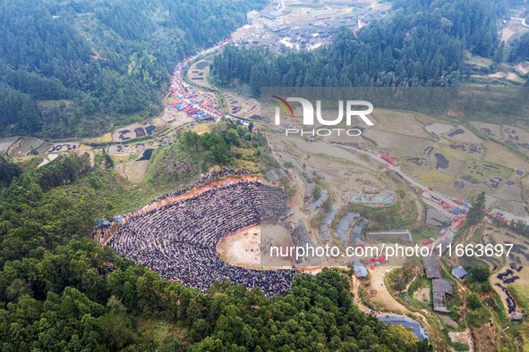 People watch a bullfight at a bullfighting pond in Congjiang County, Guizhou Province, China, on October 13, 2024. 