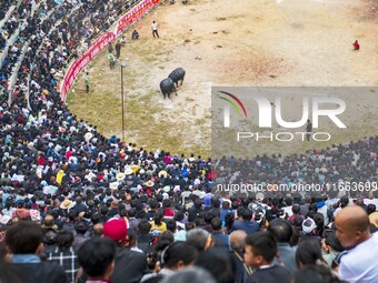 People watch a bullfight at a bullfighting pond in Congjiang County, Guizhou Province, China, on October 13, 2024. (