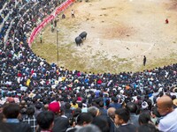 People watch a bullfight at a bullfighting pond in Congjiang County, Guizhou Province, China, on October 13, 2024. (