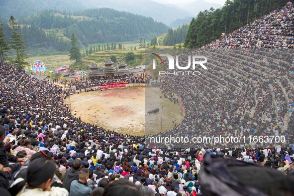 People watch a bullfight at a bullfighting pond in Congjiang County, Guizhou Province, China, on October 13, 2024. 