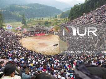 People watch a bullfight at a bullfighting pond in Congjiang County, Guizhou Province, China, on October 13, 2024. (