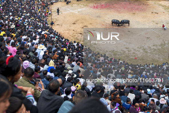 People watch a bullfight at a bullfighting pond in Congjiang County, Guizhou Province, China, on October 13, 2024. 