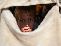 With The Approach Of Winter, Students In The Deir Ballut Camp In Rural Aleppo Study In A School Made Up Of Torn Tents, on october 13, 2024.(