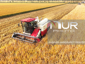 Farmers drive machines to harvest rice in Suqian, Jiangsu province, China, on October 14, 2024. (