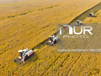 Farmers drive machines to harvest rice in Suqian, Jiangsu province, China, on October 14, 2024. (