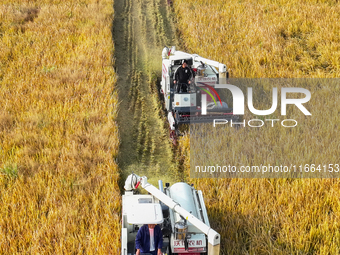 Farmers drive machines to harvest rice in Suqian, Jiangsu province, China, on October 14, 2024. (