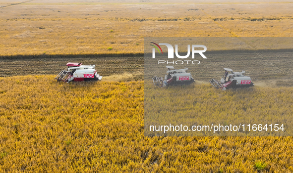 Farmers drive machines to harvest rice in Suqian, Jiangsu province, China, on October 14, 2024. 