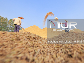 Farmers drive machines to harvest rice in Suqian, Jiangsu province, China, on October 14, 2024. (