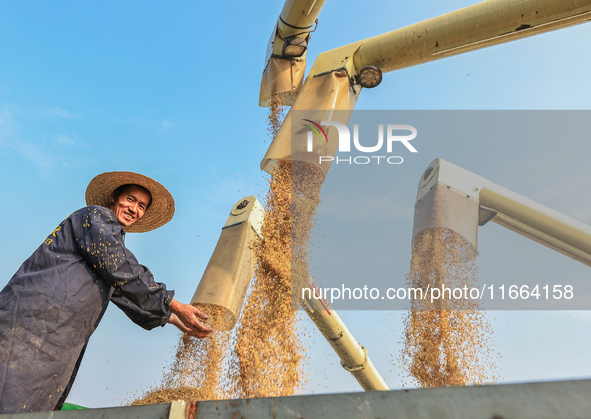 Farmers drive machines to harvest rice in Suqian, Jiangsu province, China, on October 14, 2024. 