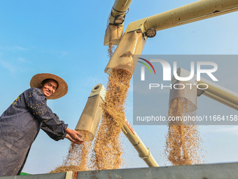 Farmers drive machines to harvest rice in Suqian, Jiangsu province, China, on October 14, 2024. (