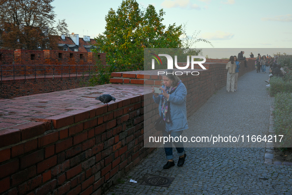 A woman follows a pigeon while holding a phone in Warsaw, Poland on 12 October, 2024. 