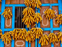 Corn hangs outside a home in Sainji Village (Corn Village) in Mussoorie, Uttarakhand, India, on April 18, 2024. This village is famous for t...